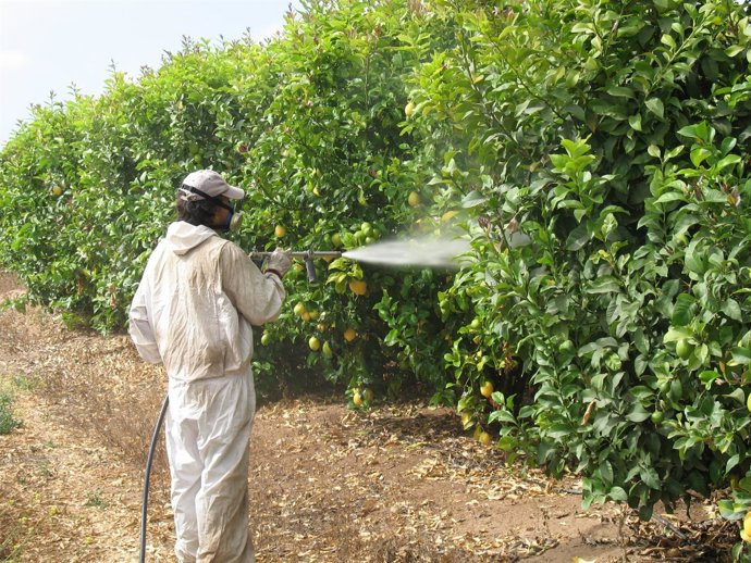 Las jornadas se realizarán en varias localidades