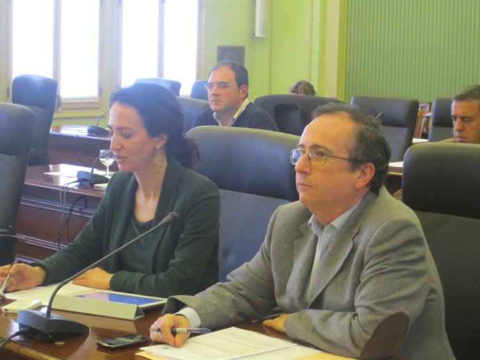 Veramendi en Comisión de Turismo