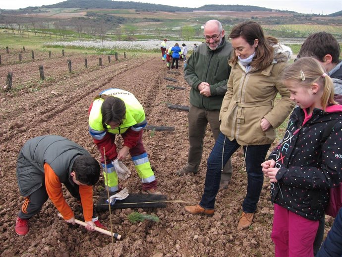 Gamarra y Ruiz Tutor observan cómo un niño planta un árbol