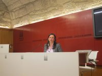 El PSOE de Santiago reclama debatir en pleno el caso de las facturas y cree que al gobierno de la "vergüenza" su gestión