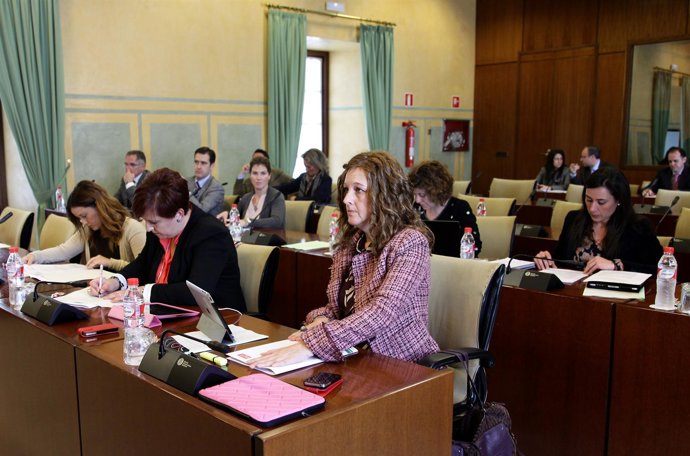 Comisión de Presidencia e Igualdad