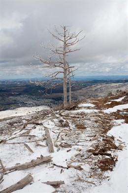 Aquabona y Ecodes ponen en marcha 'Plantando agua' en las Cuencas Mineras
