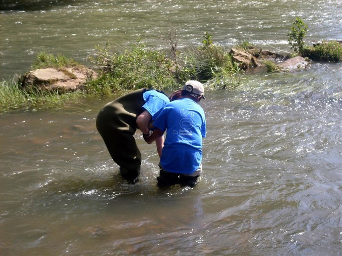 KENOX S760  / Samsung S760