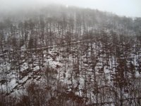 El Gobierno apoyará con 4,6 millones a titulares de explotaciones en zonas de montaña