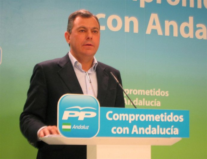 El secretario general del PP-A, José Luis Sanz, hoy en rueda de prensa