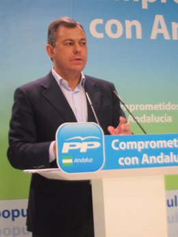 El secretario general del PP-A, José Luis Sanz, hoy en rueda de prensa