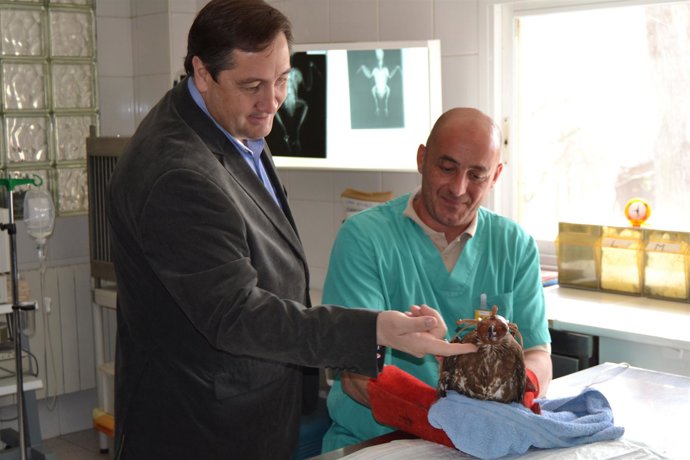 Josep Maria Pelegrí