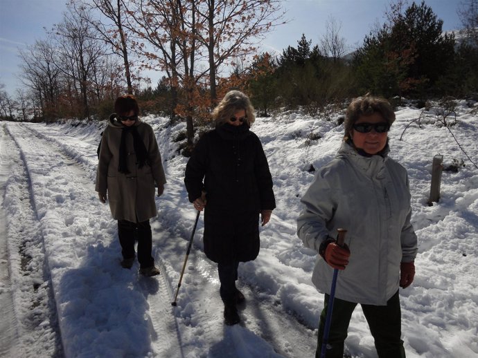 Senderistas en una de las visitas al Moncayo (Zaragoza)