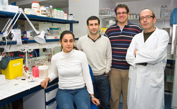 Investigadores Parapléjicos