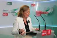 PSOE-A defiende el funcionamiento del Gobierno de coalición y rechaza "jugar a las adivinanzas" sobre el futuro con IU
