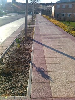 Barbastro realiza una campaña de plantación de 497 nuevos ejemplares