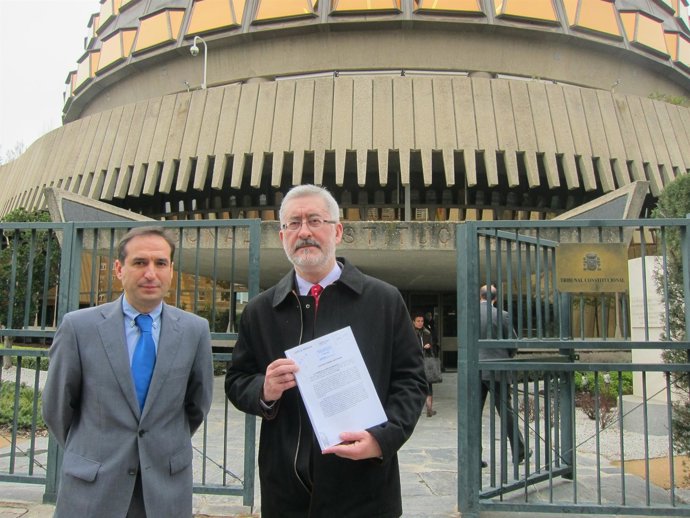 Cnsejero de Economía, Innovación, Ciencia y Empleo, Antonio Ávila, ante el TC