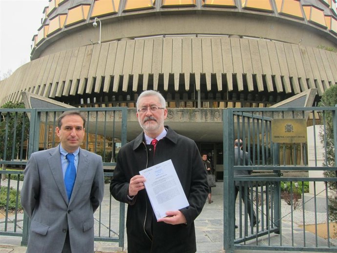 Cnsejero de Economía, Innovación, Ciencia y Empleo, Antonio Ávila, ante el TC