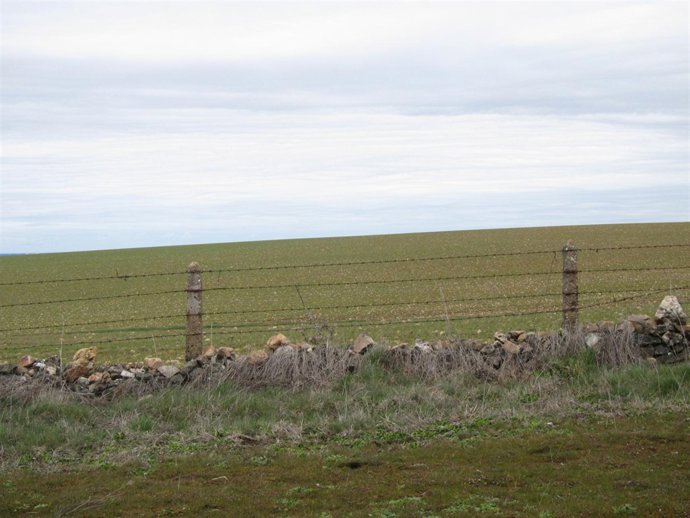 Campo tras las últimas lluvias caídas