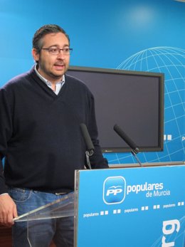 El portavoz adjunto del Partido Popular de la Región de Murcia