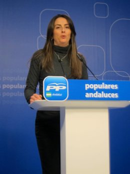 La diputada popular Arancha Martín, hoy en rueda de prensa