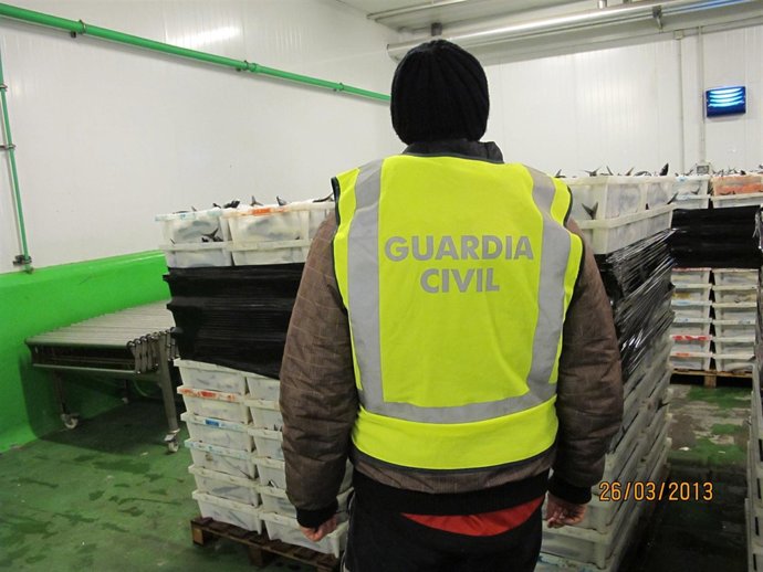 Pesca incautada por la Guardia Civil