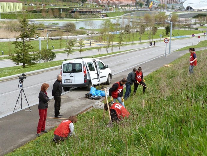 Plantación árboles Campus UC