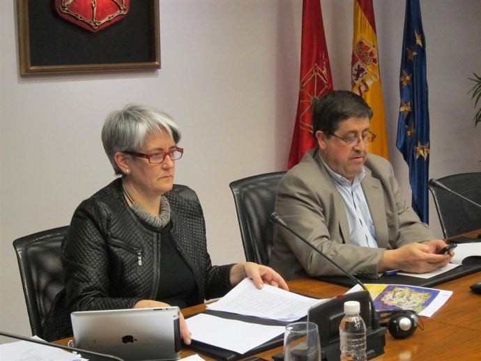 La consejera Goicoechea en comisión parlamentaria.