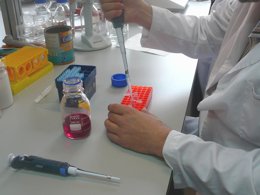 Actividades biotecnológicas.