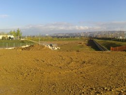 Huertos urbanos en el Parque del Agua de Zaragoza