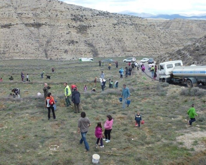 Plantación de árboles en la ermita de San Roque de Calatayud