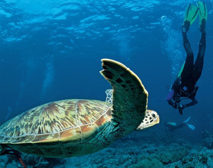 Panamá parques nacionales