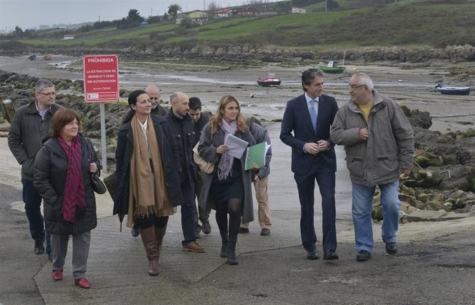 Anuncio del proyecto 