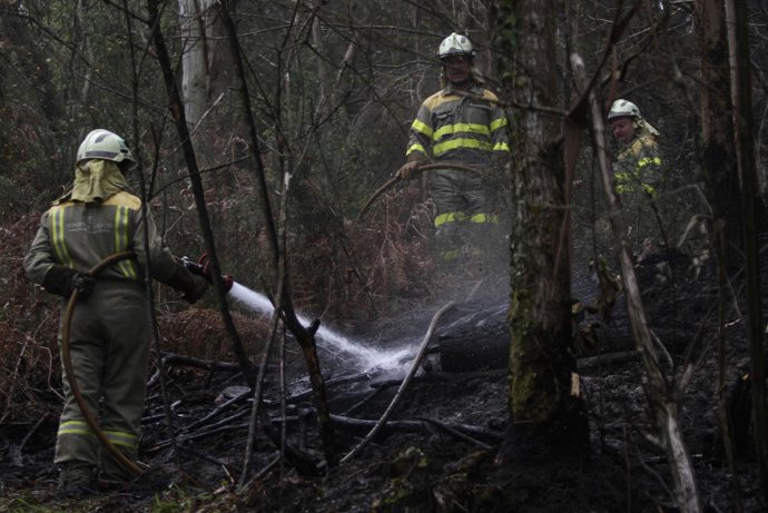 Bomberos Sofocan El Incendio En Las Fragas Do Eume (Galicia) 