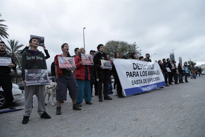 Protesta antitaurina frente a la Maestranza
