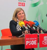 García (PSOE) espera que el PP gaditano sea "exigente y reivindicativo" en su reunión con la SEPI