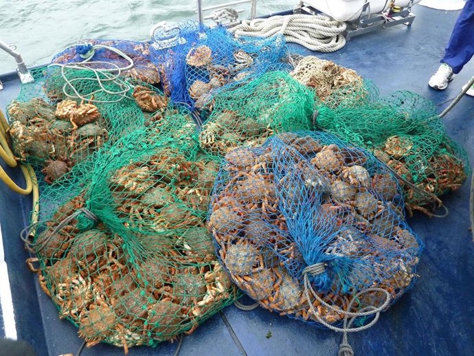 Marisco requisado por Gardacostas en Galicia