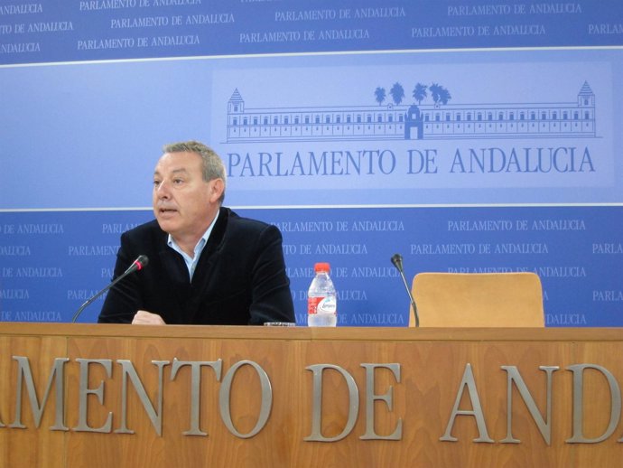 El portavoz del PSOE-A en el Parlamento, Francisco Álvarez de la Chica