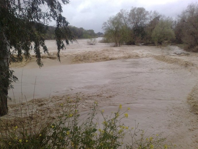 El río Guadalquivir cerca de Alcolea