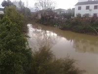 Vecinos de Alcolea abandonan sus casas por su propio pie ante la crecida del Guadalquivir