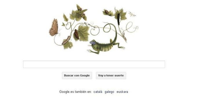 Doodle homenaje a Maria Sibylla Merian