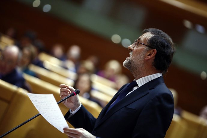 Mariajo Rajoy en el Senado
