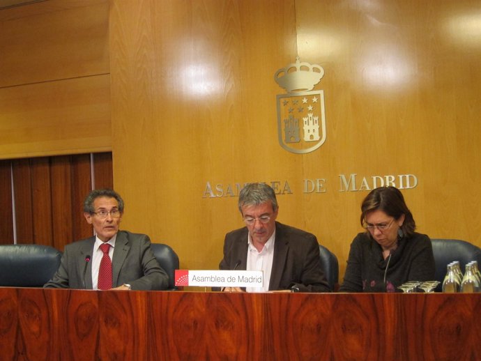 Gordo (IU) en la rueda tras la Junta de Portavoces de la Asamblea de Madrid