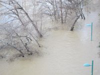 El Ejecutivo aragonés confía en que el Gobierno de España brinde ayudas por los daños de la crecida del Ebro