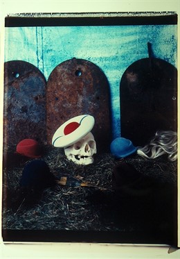 Imagen de la muestra