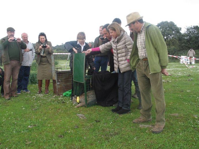 Gálvez y Sabalete en la liberación de linces hoy