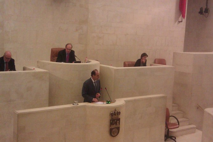 Diego en el Pleno del Parlamento
