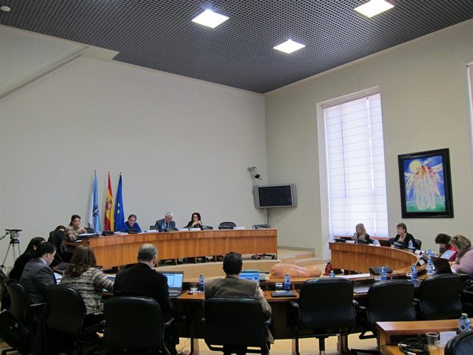 Comision Institucional