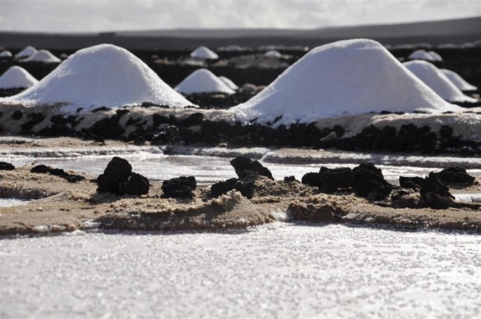 Salinas Daniel Lasso