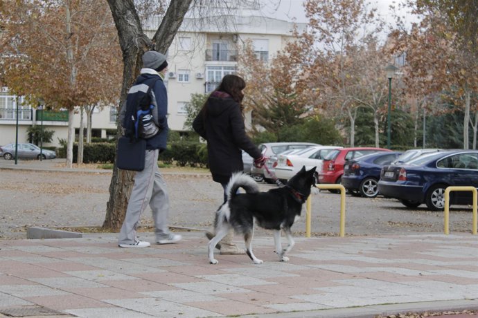 MUJER CON PERRO