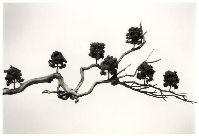 Exposición Paraisos Naturales de la Fundacion Aena