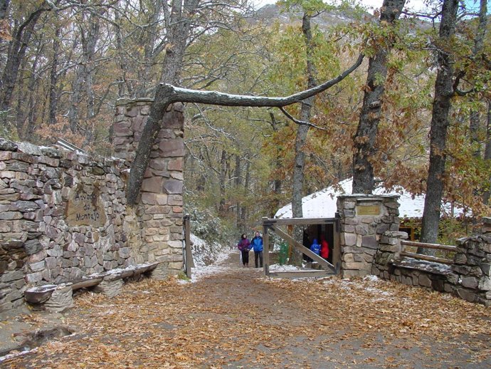 Hayedo de Montejo de la Sierra