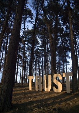 Trust, obra de Fernando Navarro Vejo