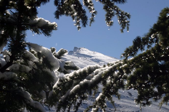 Sierra Nevada