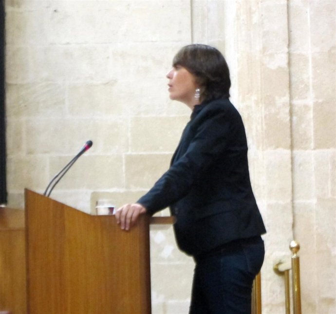 La consejera de Fomento y Vivienda, Elena Cortés, hoy en el pleno del Parlamento